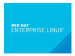 Red Hat Enterprise Linux Server - abonnement standard - 2 connecteurs, 1 nœud physique/2 nœuds virtuels