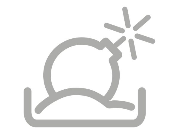 FortiSandbox Virtual Appliance VM00 - licence - 1 licence