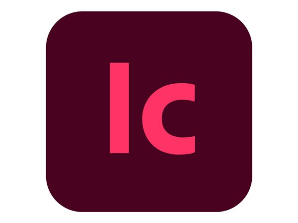 INCOPY - PRO FOR TEAMicrosoft L4